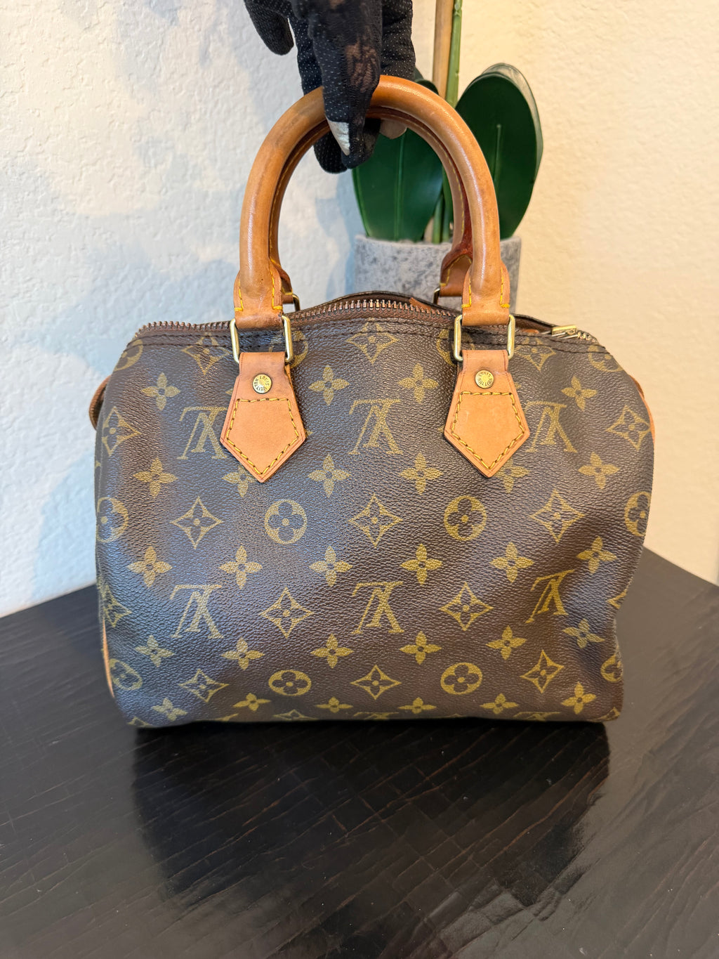 Louis Vuitton Monogram Speedy 25