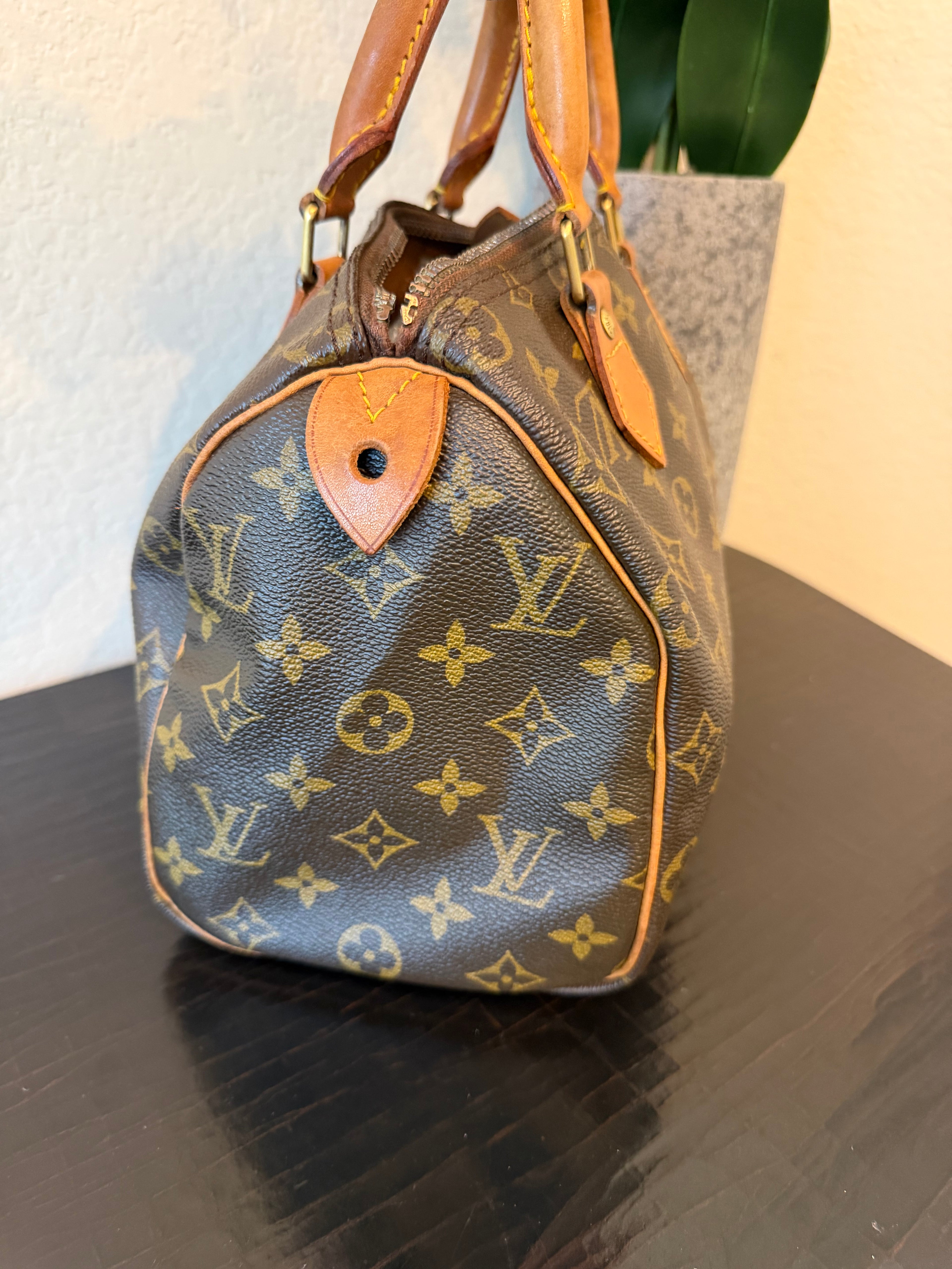 Louis Vuitton Monogram Speedy 25