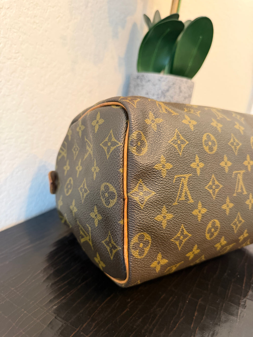 Louis Vuitton Monogram Speedy 25