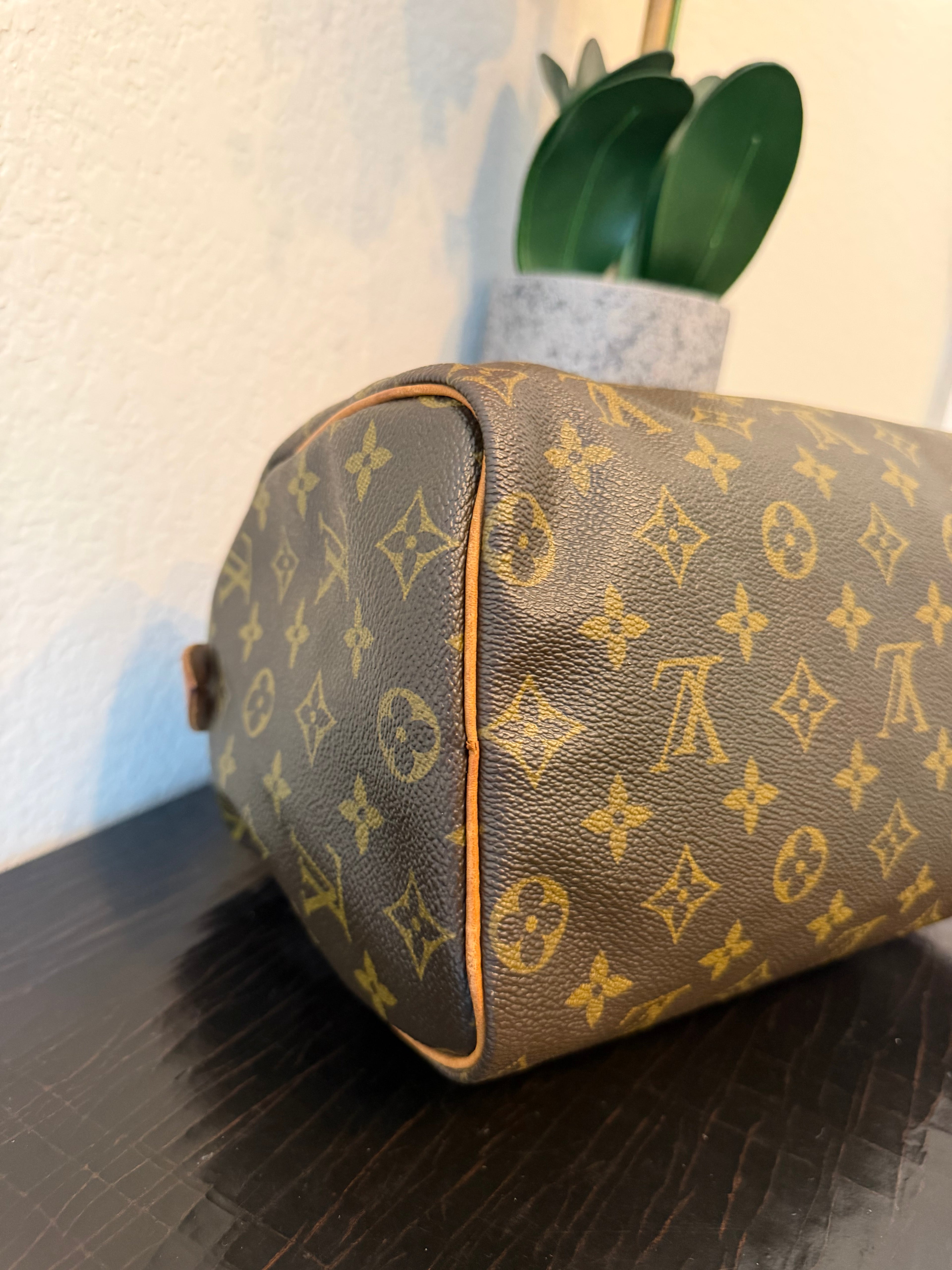 Louis Vuitton Monogram Speedy 25