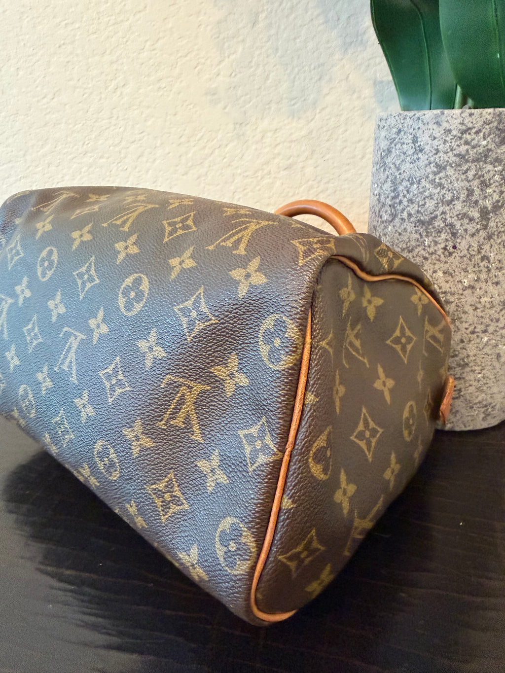 Louis Vuitton Monogram Speedy 25