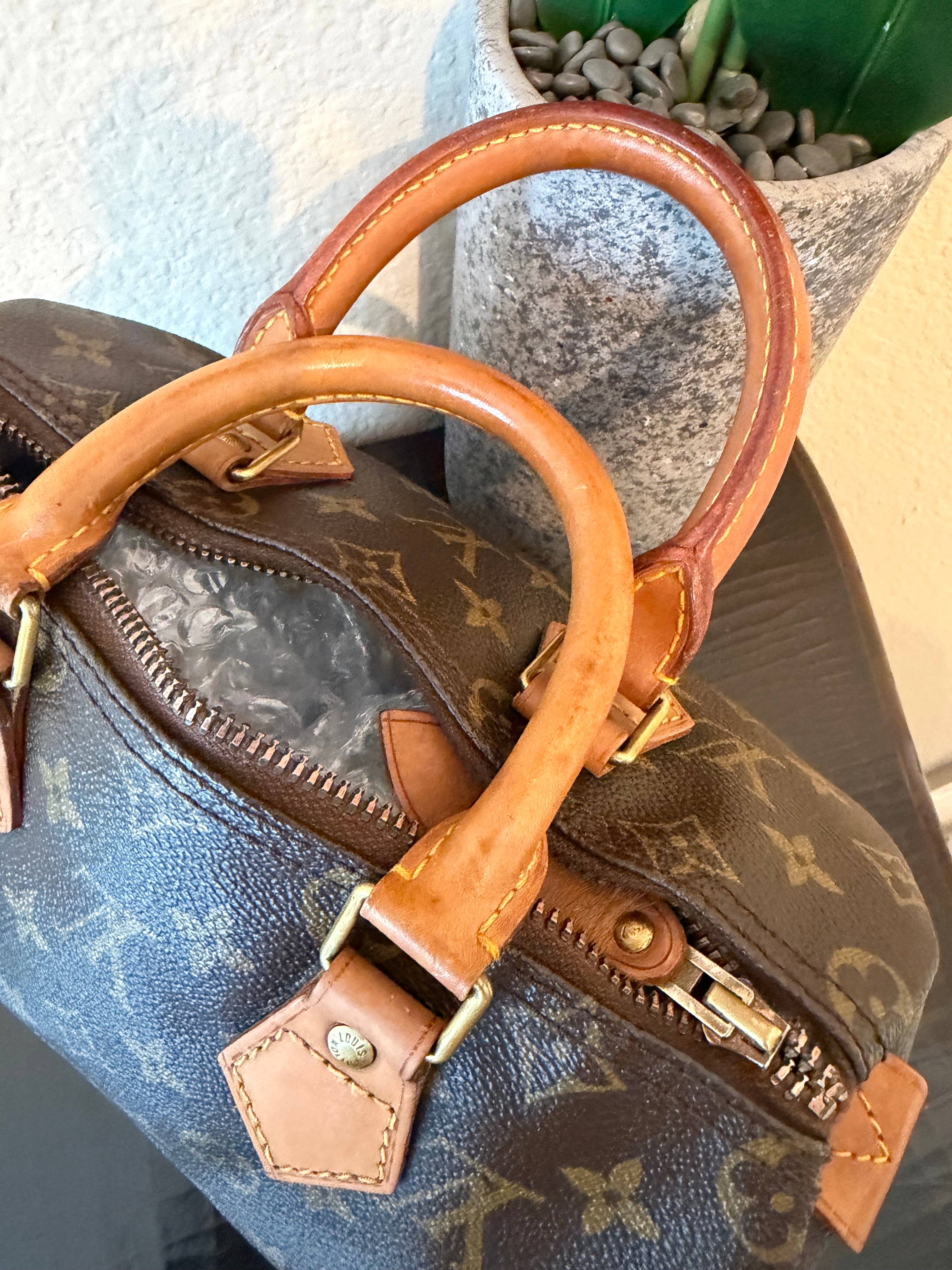 Louis Vuitton Monogram Speedy 25