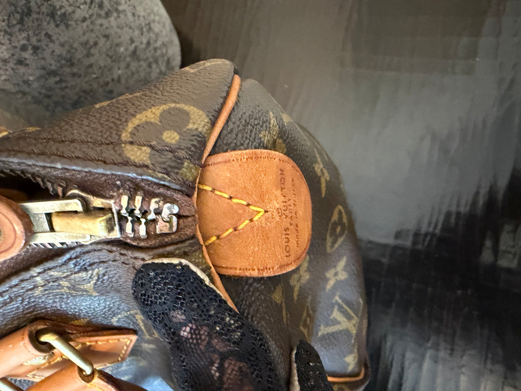 Louis Vuitton Monogram Speedy 25