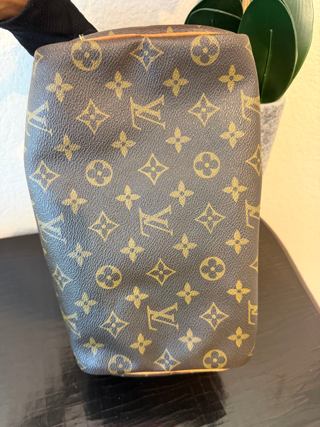Louis Vuitton Monogram Speedy 25