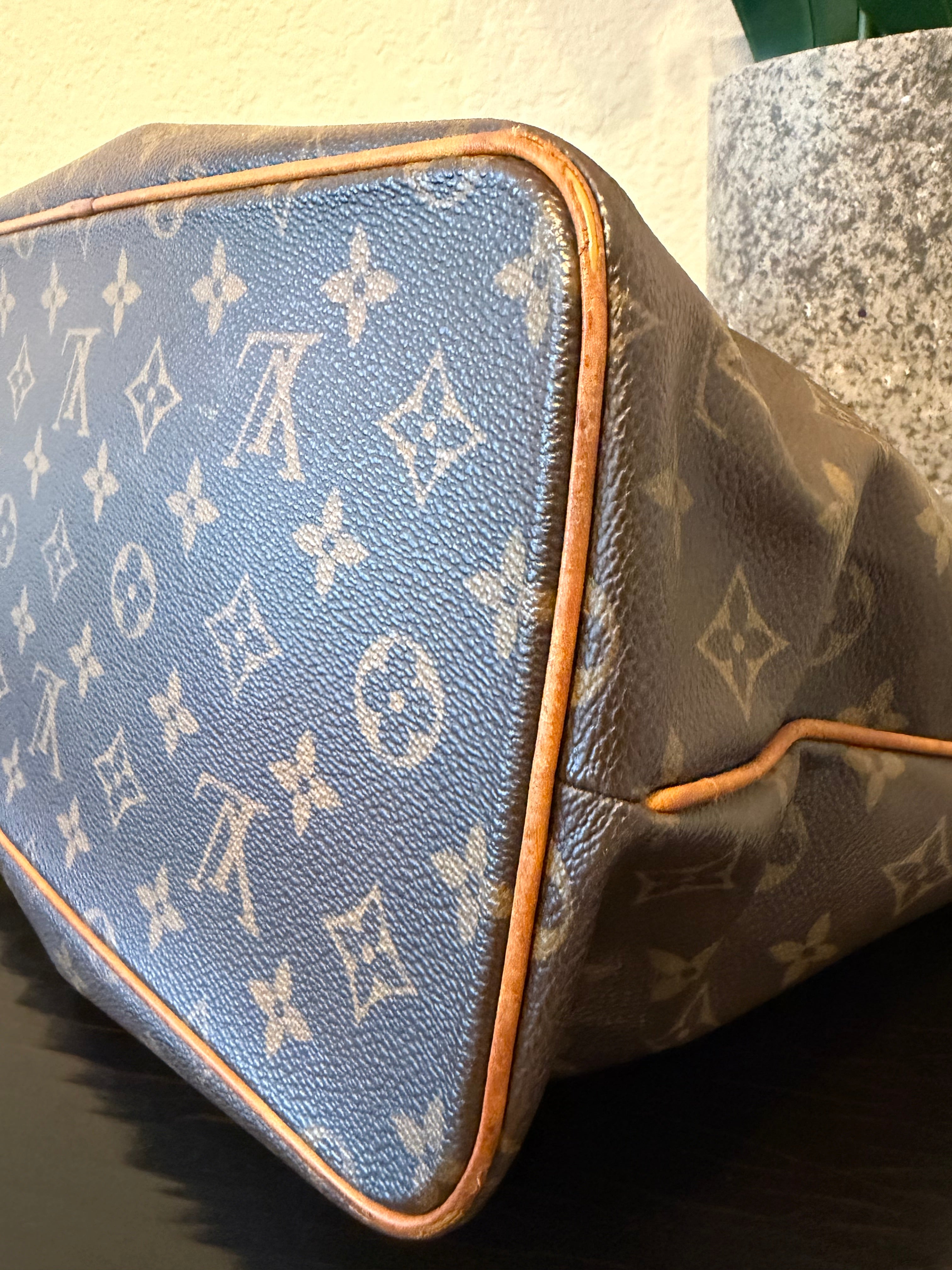 Louis Vuitton Palermo PM Monogram