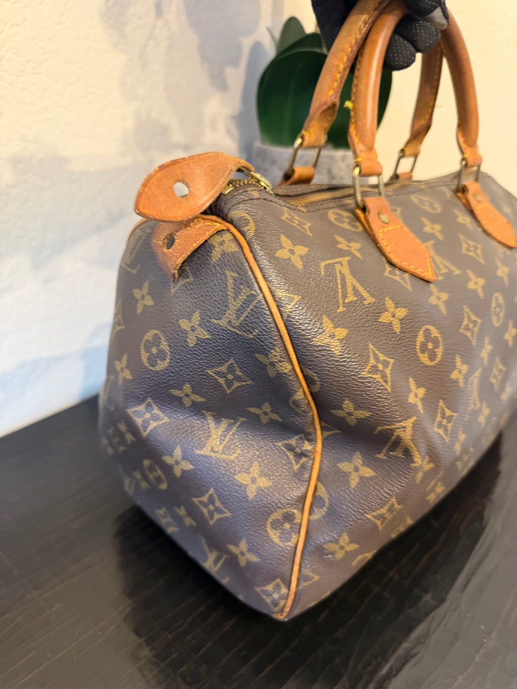 Louis Vuitton Speedy 30 Monogram