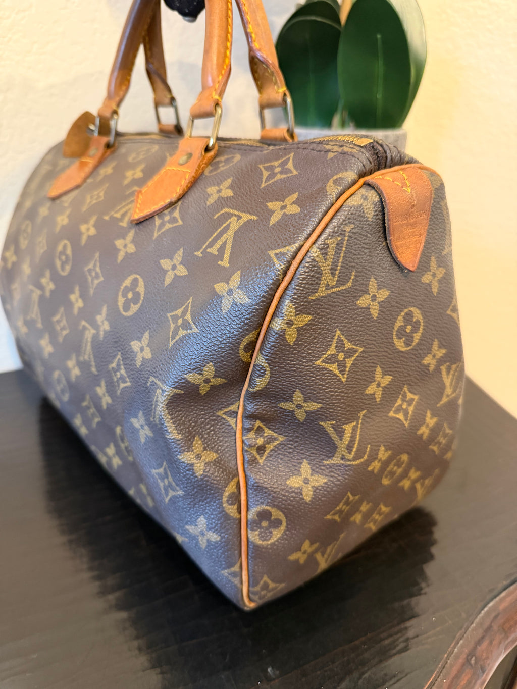 Louis Vuitton Speedy 30 Monogram