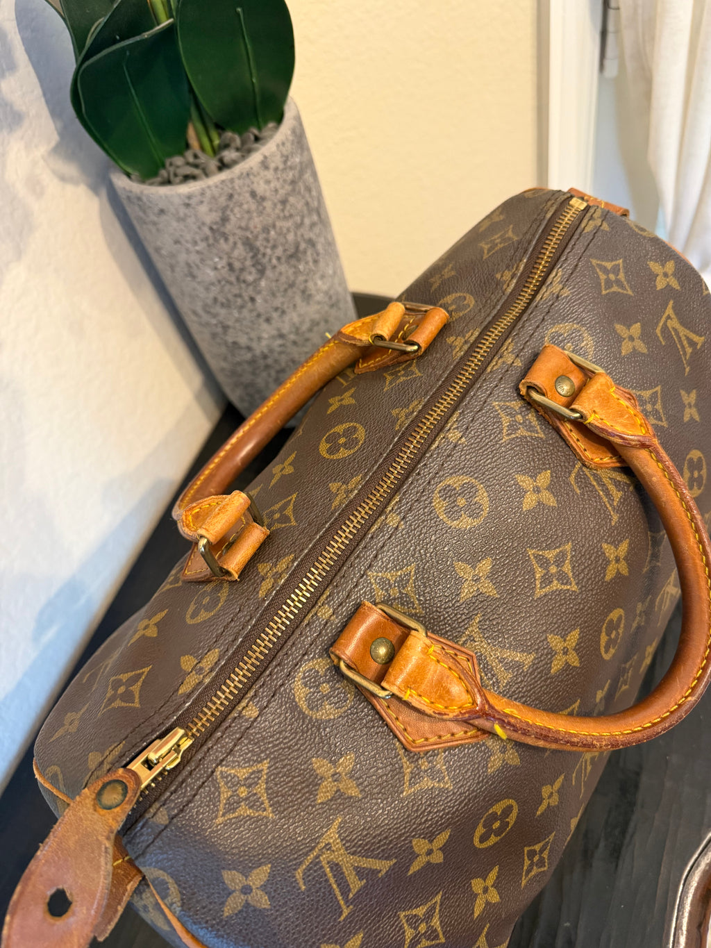 Louis Vuitton Speedy 30 Monogram