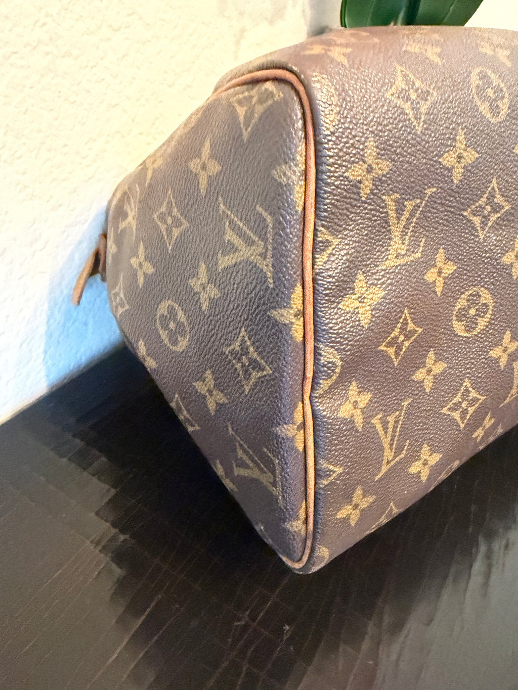 Louis Vuitton Speedy 30 Monogram
